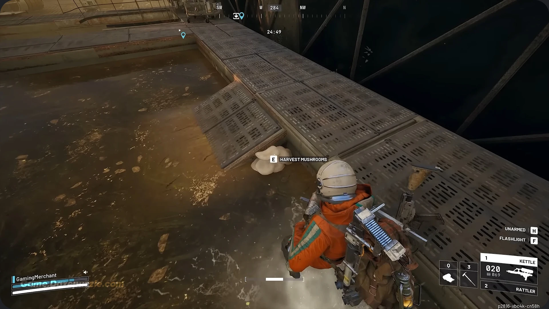 ARC Raiders mushrooms spawns