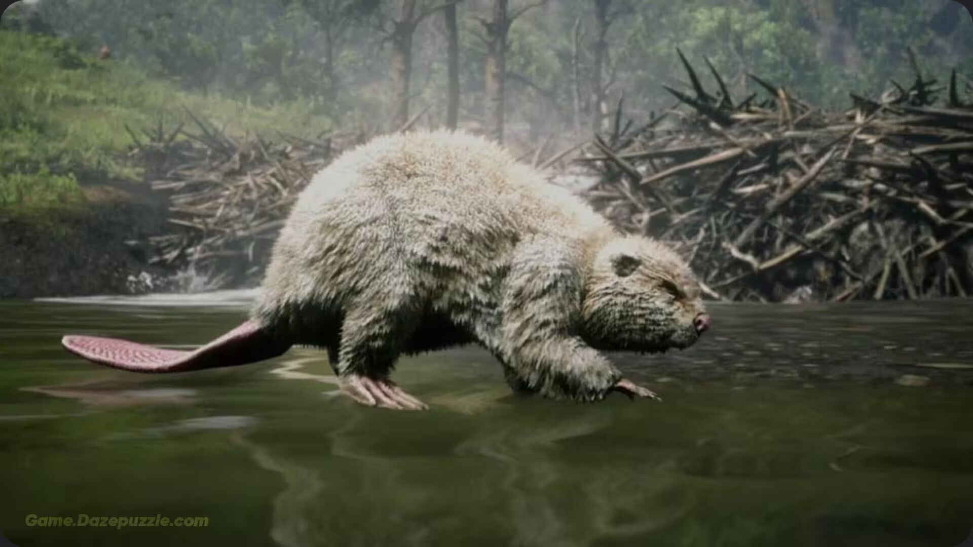 Beaver in RDR2