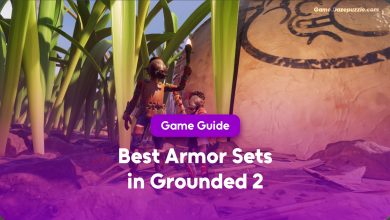 Best Armor Sets in Grounded 2