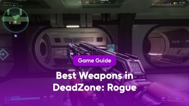 Best Weapons in DeadZone Rogue