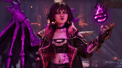Borderlands 4 Code for a Sweet Vex Outfit