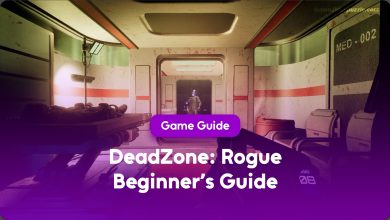 DeadZone Rogue Beginner's Guide