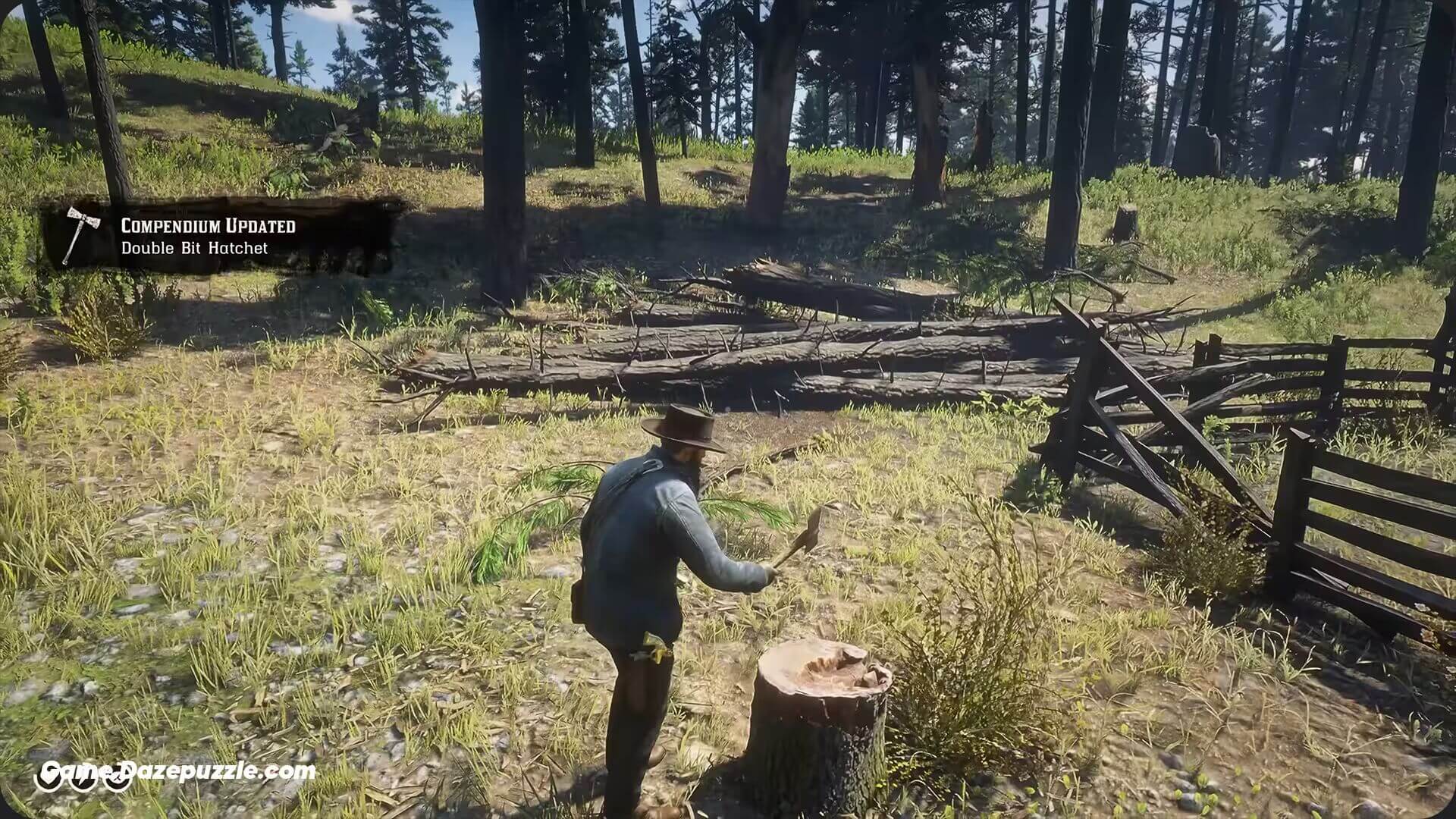 Double Bit Hatchet Pickup