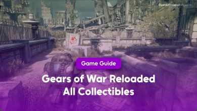 Gears of War Reloaded all collectibles