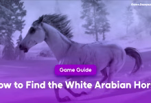 How to Find the White Arabian Horse