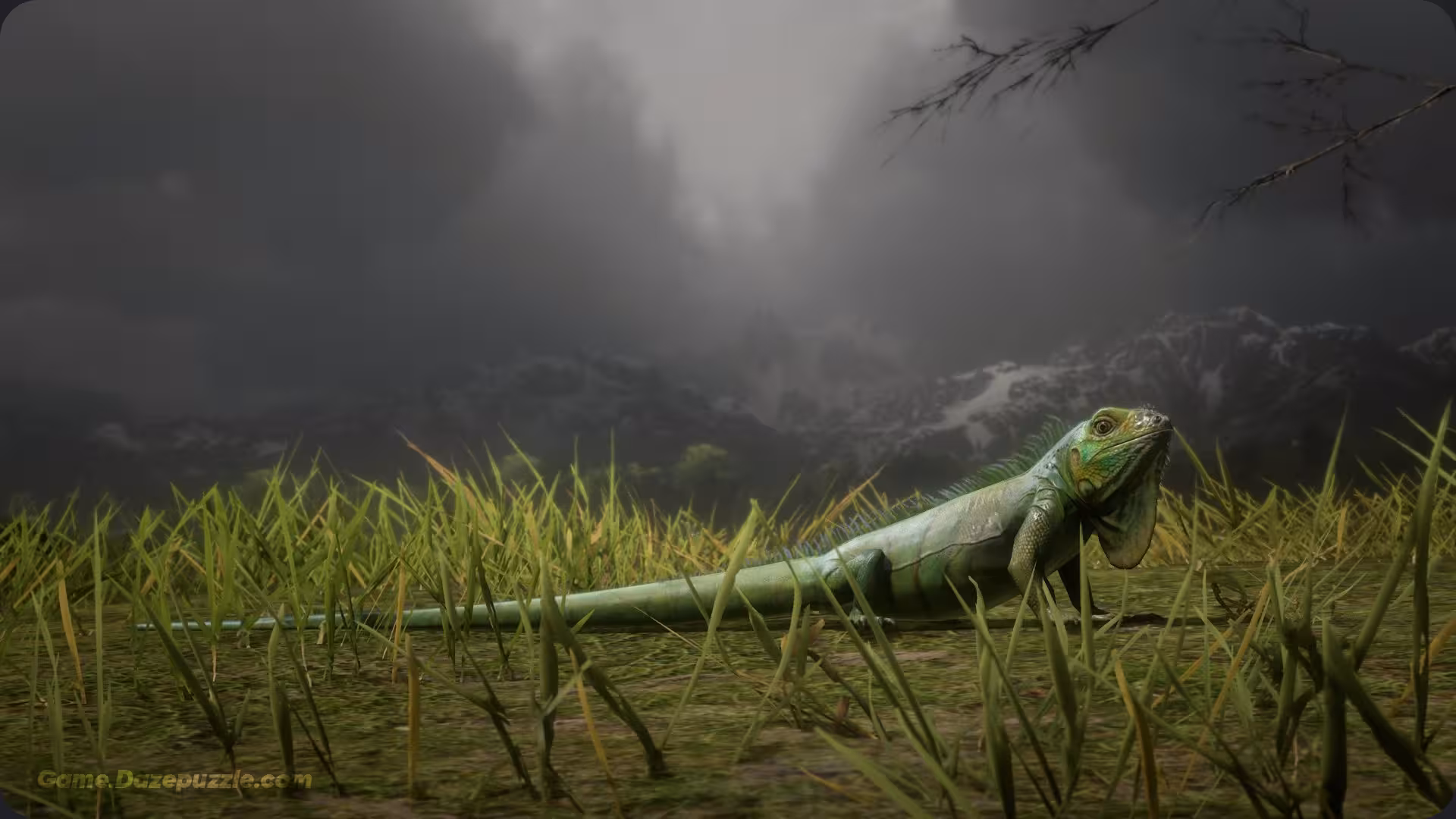 Iguana In RDR2