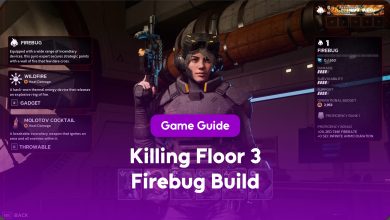 Killing Floor 3 Firebug Build