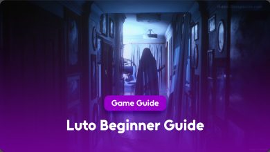 Luto Beginner Guide