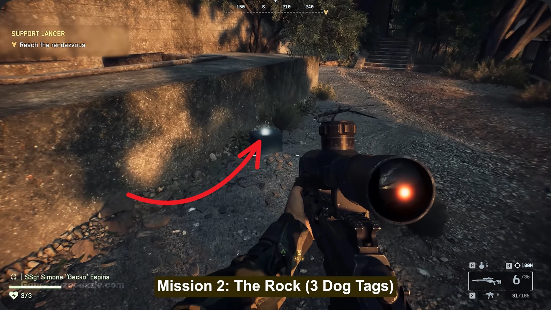 Mission 2 The Rock Dog Tags