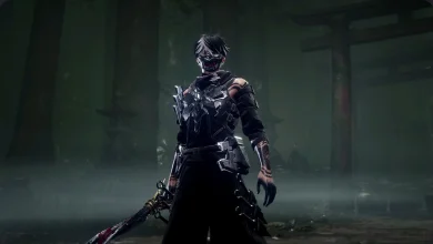 Ninja Gaiden 4 Weapons