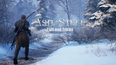 Of Ash and Steel Tips and Tricks