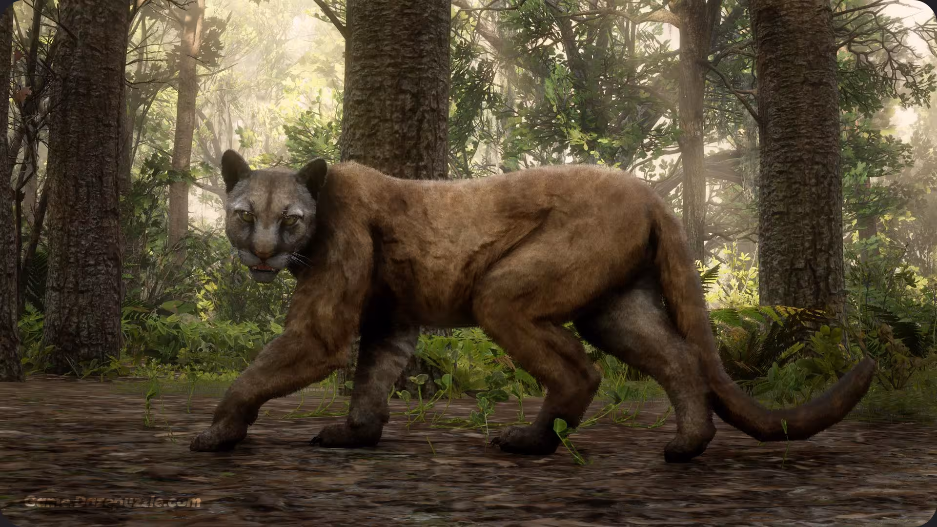 Panther in RDR2