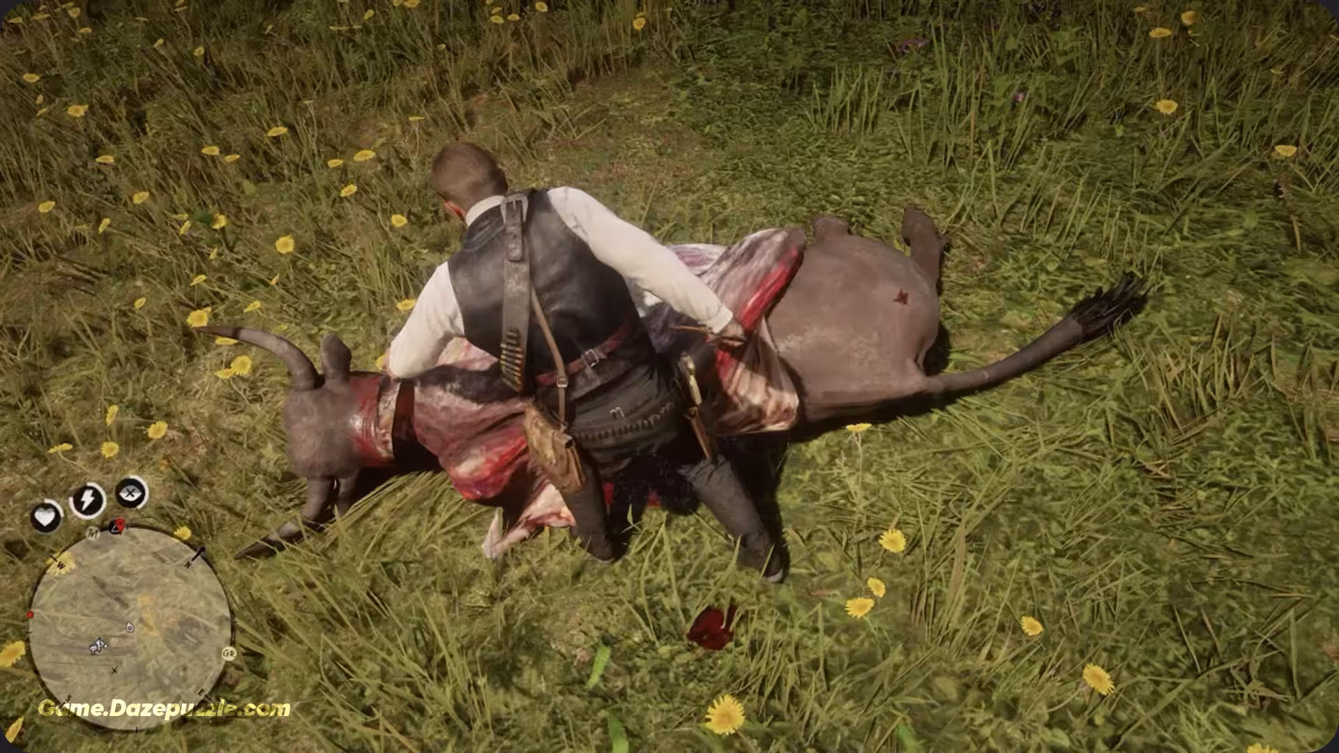 Pelt in RDR2