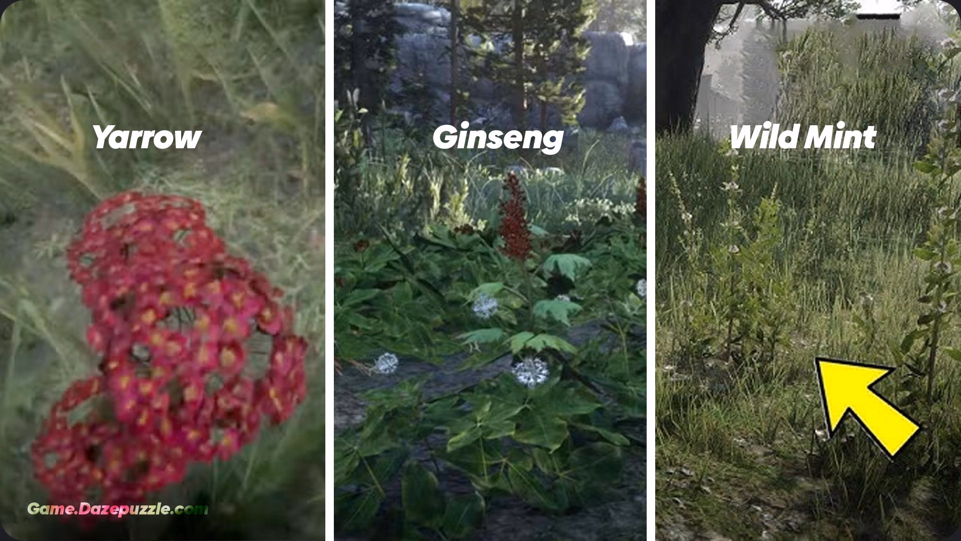 RDR2 Wild Mint Eagle Eye Red Dead Redemption 2: The Ultimate Beginner's Guide