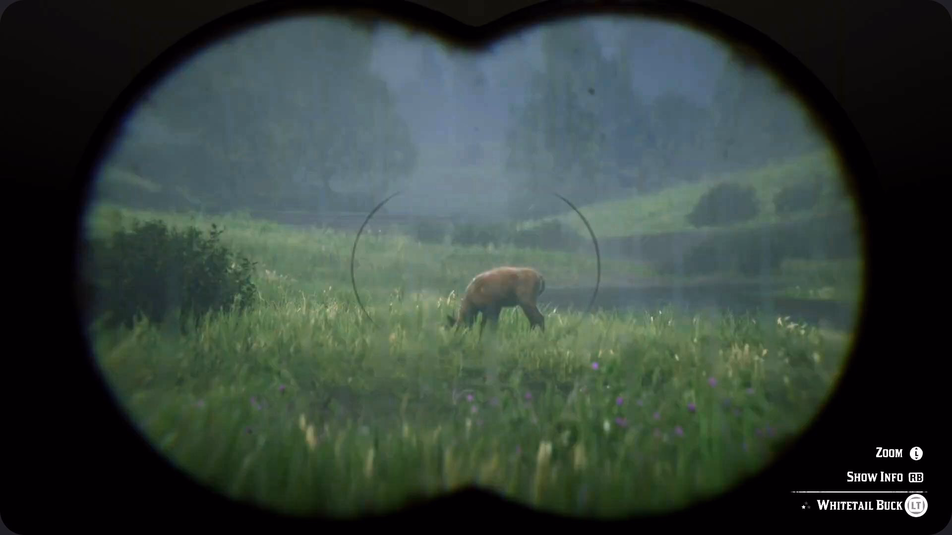 RDR2 binoculars 3 star animal Red Dead Redemption 2: The Ultimate Beginner's Guide