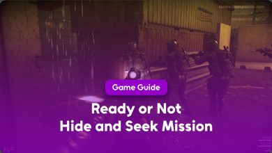 Ready or Not Hide and Seek