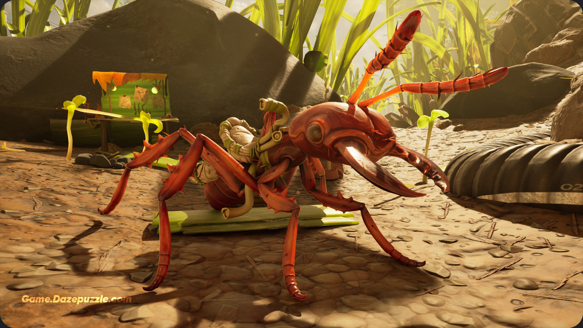 Red Soldier Ant