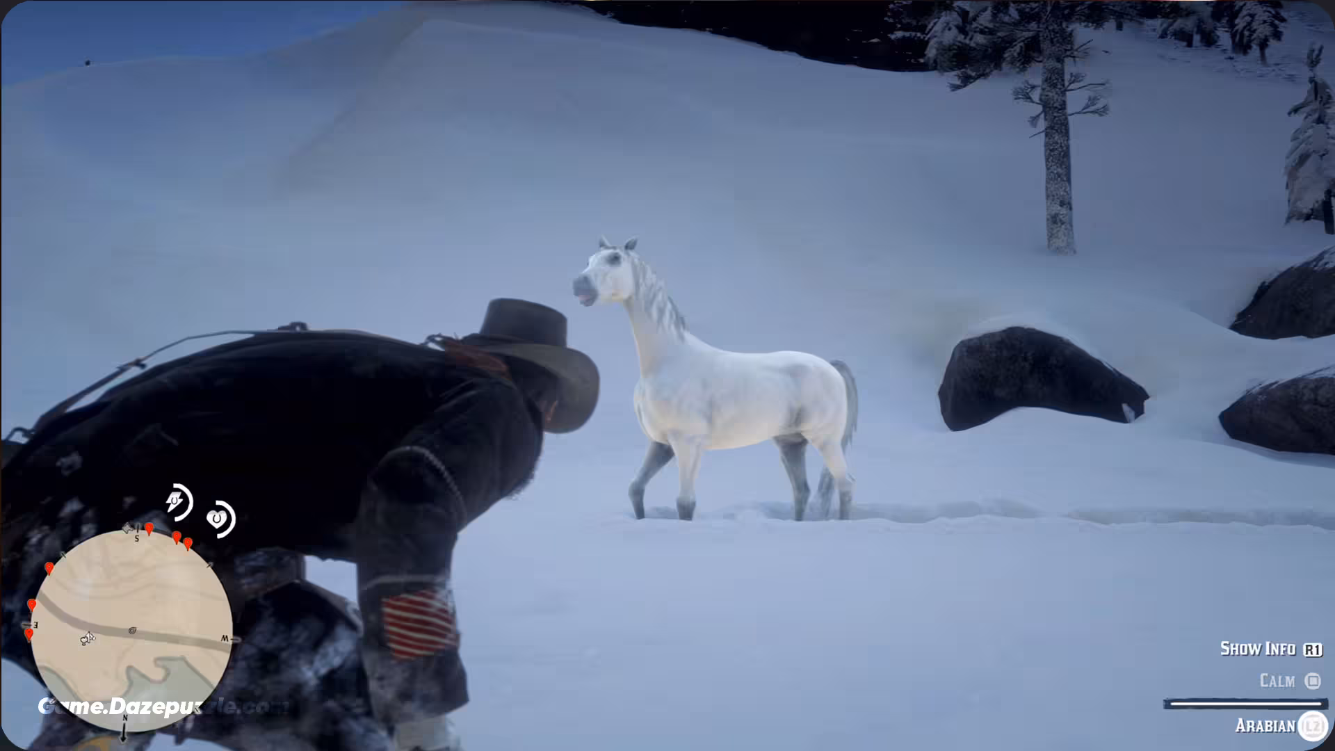 Taming White Arabian Horse RDR2