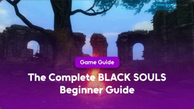 The Complete BLACK SOULS Beginner Guide