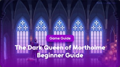 The Dark Queen of Mortholme Beginner Guide