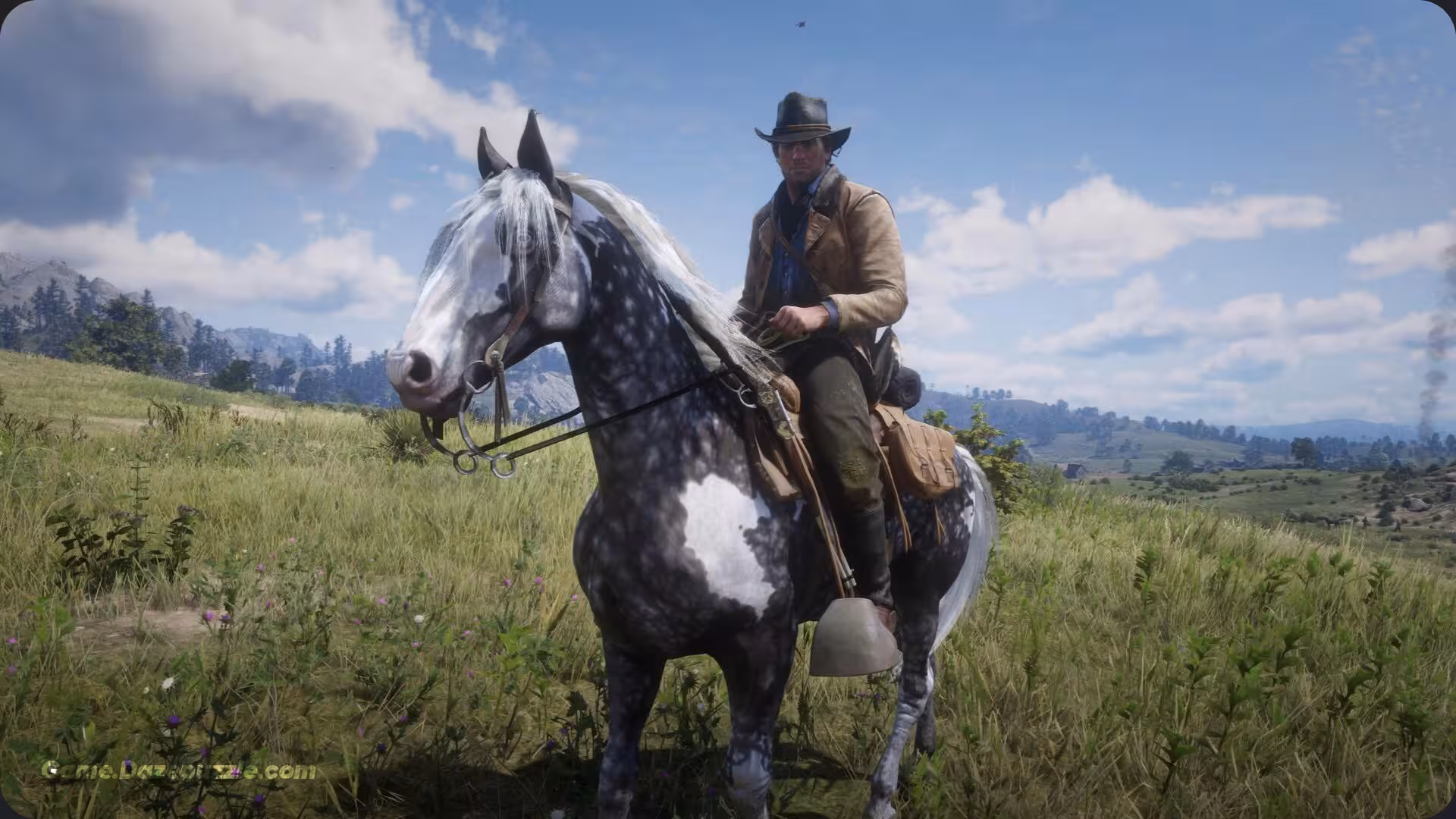 The Missouri Fox Trotter Horse RDR2