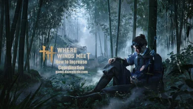 Where Winds Meet Coordination Guide