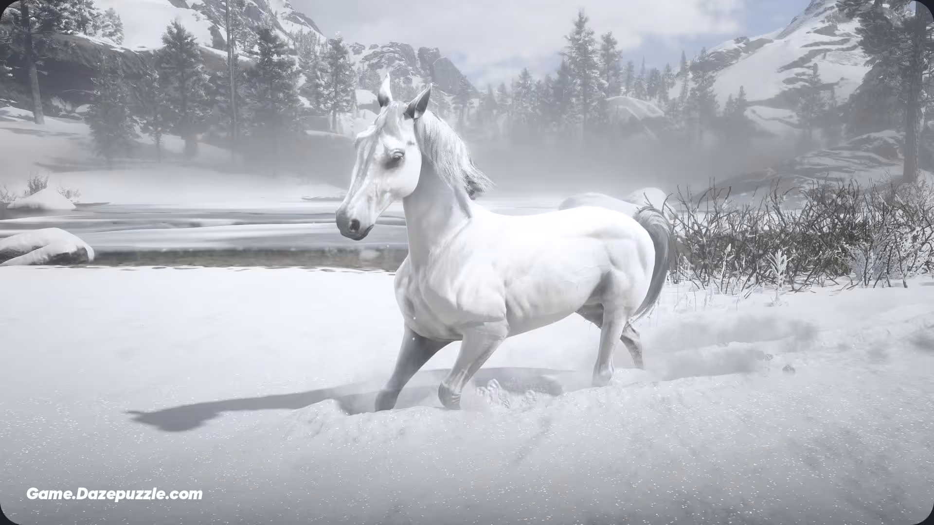 White Arabian Horse RDR2