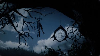 all dreamcatcher locations in rdr2