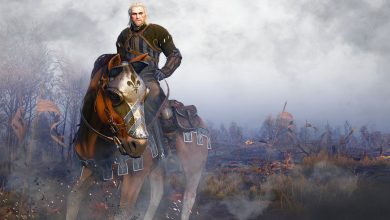 best witcher 3 armor sets