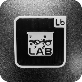 Bonelab Icon