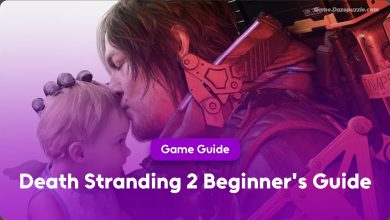 death stranding 2 beginner's guide