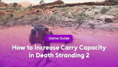 How to Increase Carry Capacity in Death Stranding 2