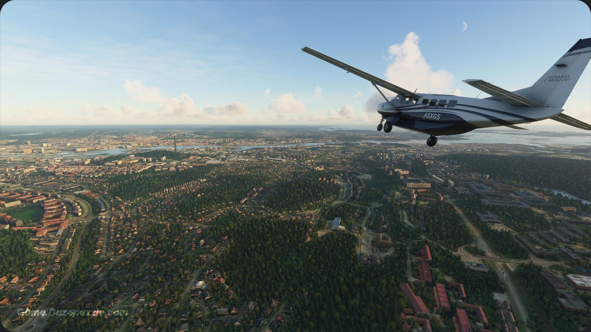 Microsoft Flight Simulator Graphics