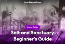 Salt and Sanctuary Beginner's Guide