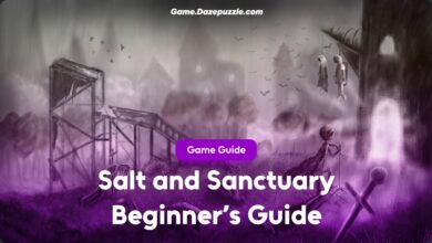 Salt and Sanctuary Beginner's Guide