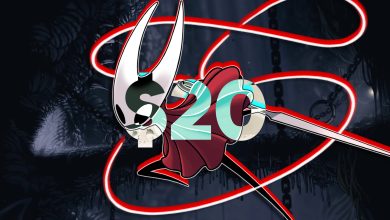 silksong's price tag
