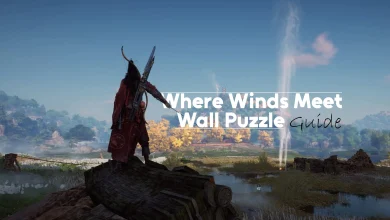 Where Winds Meet Wall Puzzle Guide